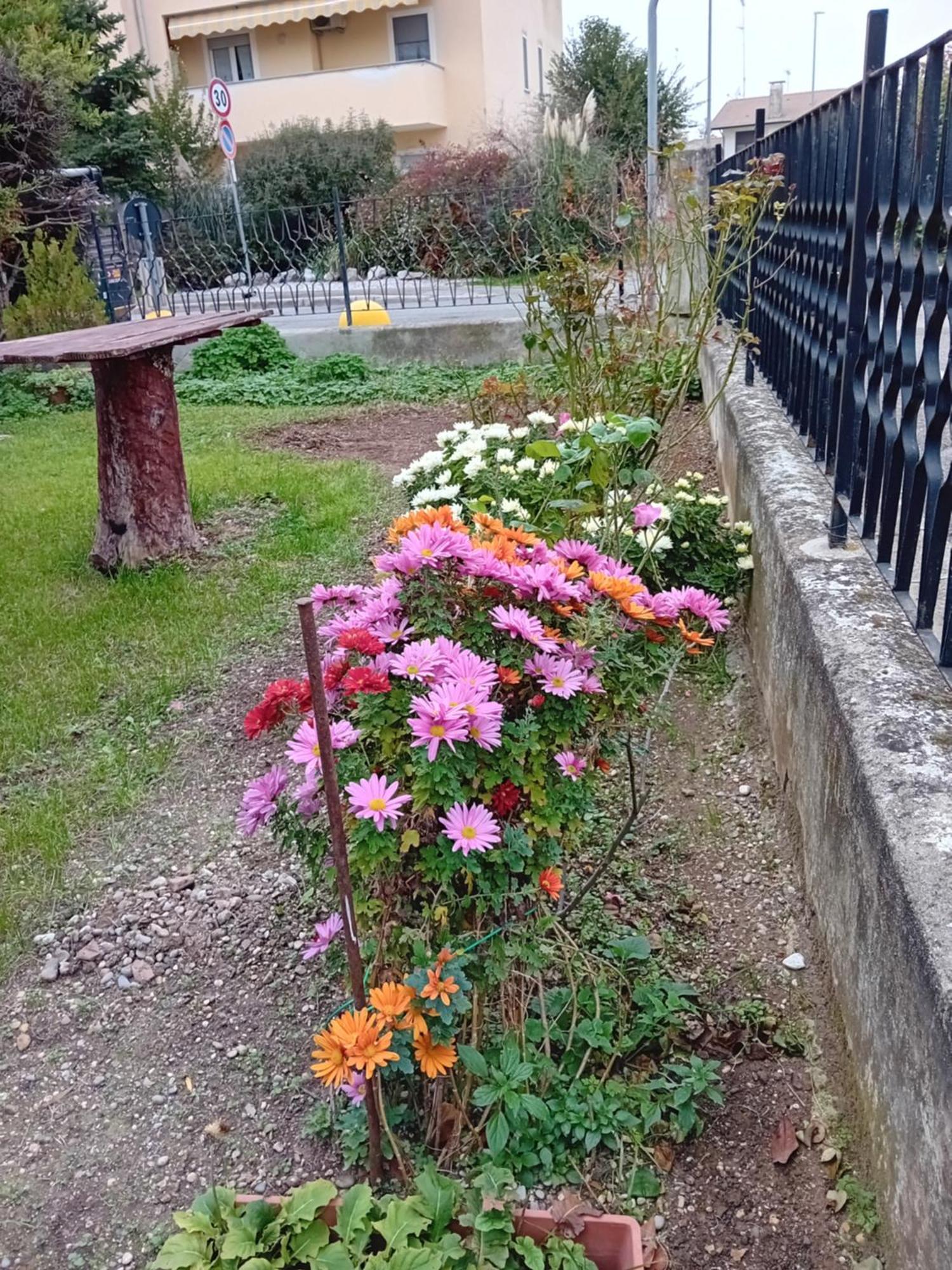 Villa Azzurra มอนฟัลโกเน ภายนอก รูปภาพ